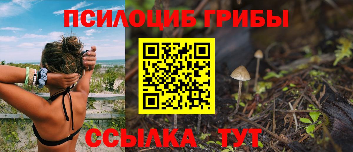 Псилоцибиновые грибы MAGIC MUSHROOMS Зима