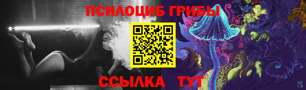 Зима  Псилоцибиновые грибы MAGIC MUSHROOMS  Вход с VPN 
